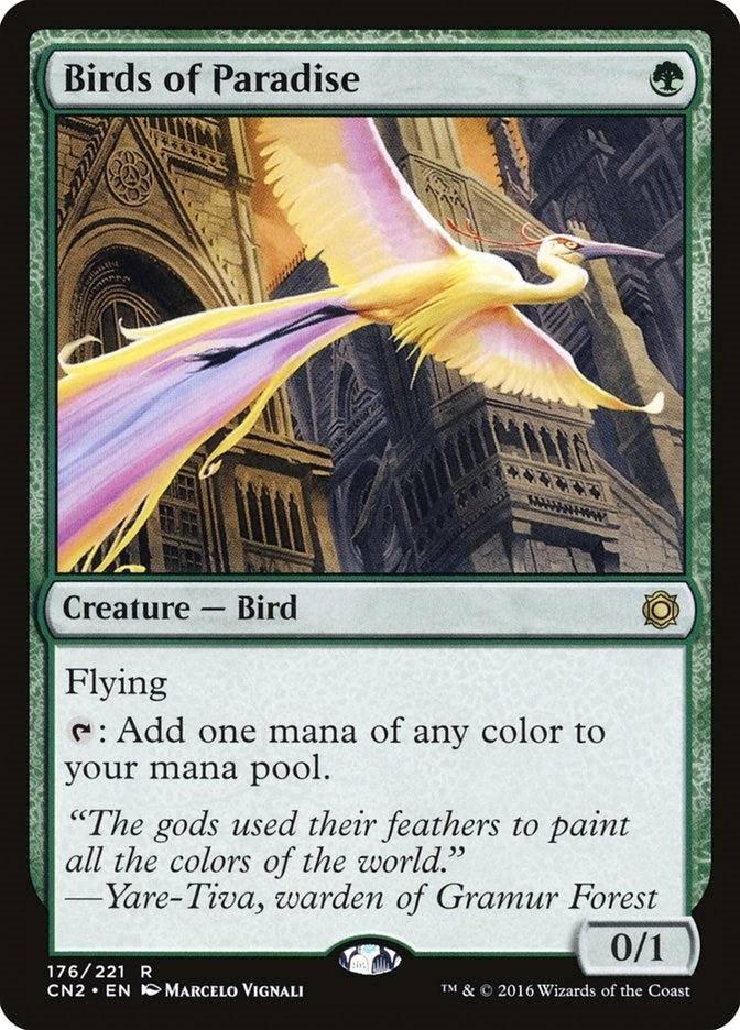 Birds of Paradise (176) (CN2)