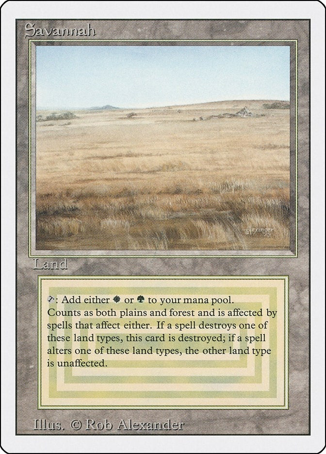 Savannah (3ED)