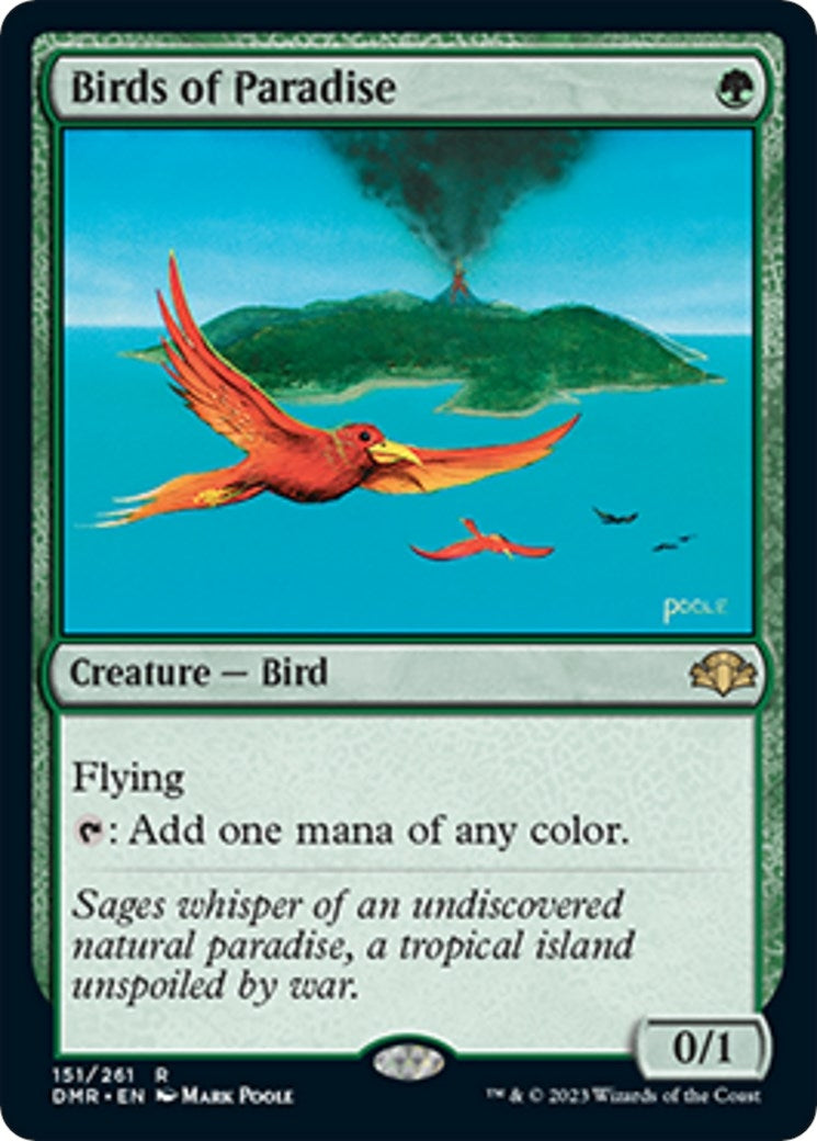 Birds of Paradise (151) (DMR)