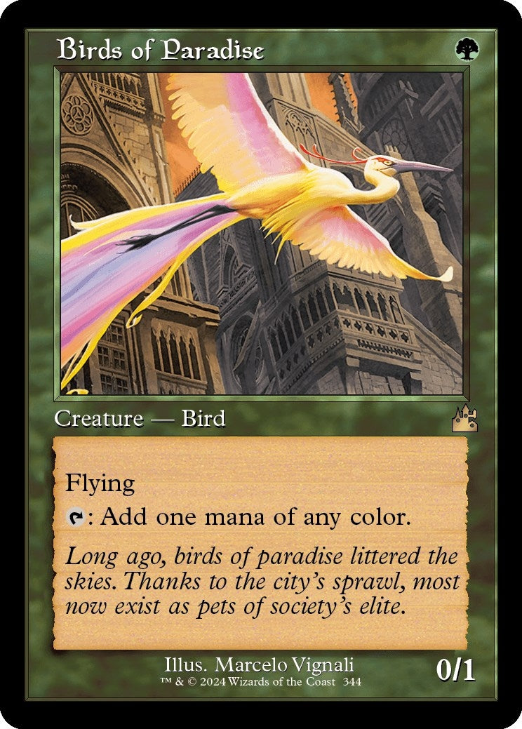 Birds of Paradise (Retro Frame) (344) (RVR)