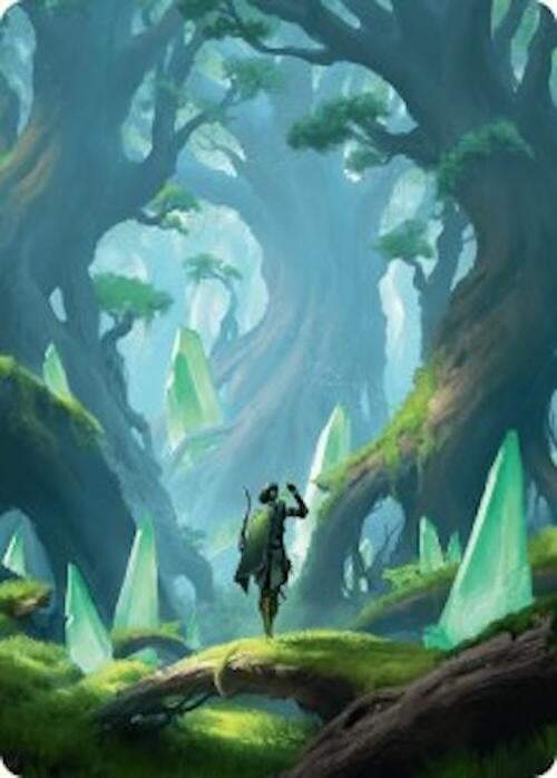 Image for Forest Art Card (25/54) (25) - Magic: The Gathering