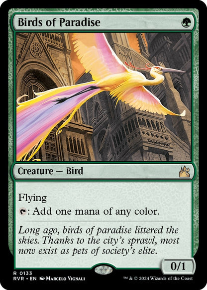 Birds of Paradise (133) (RVR)