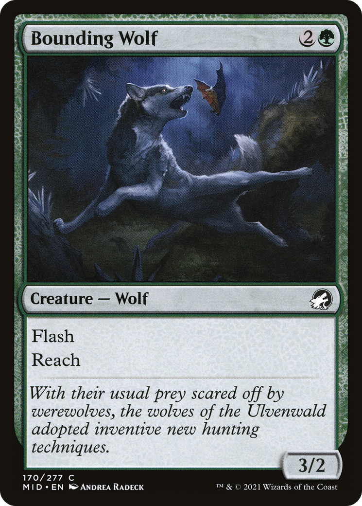 Bounding Wolf [Innistrad: Midnight Hunt]