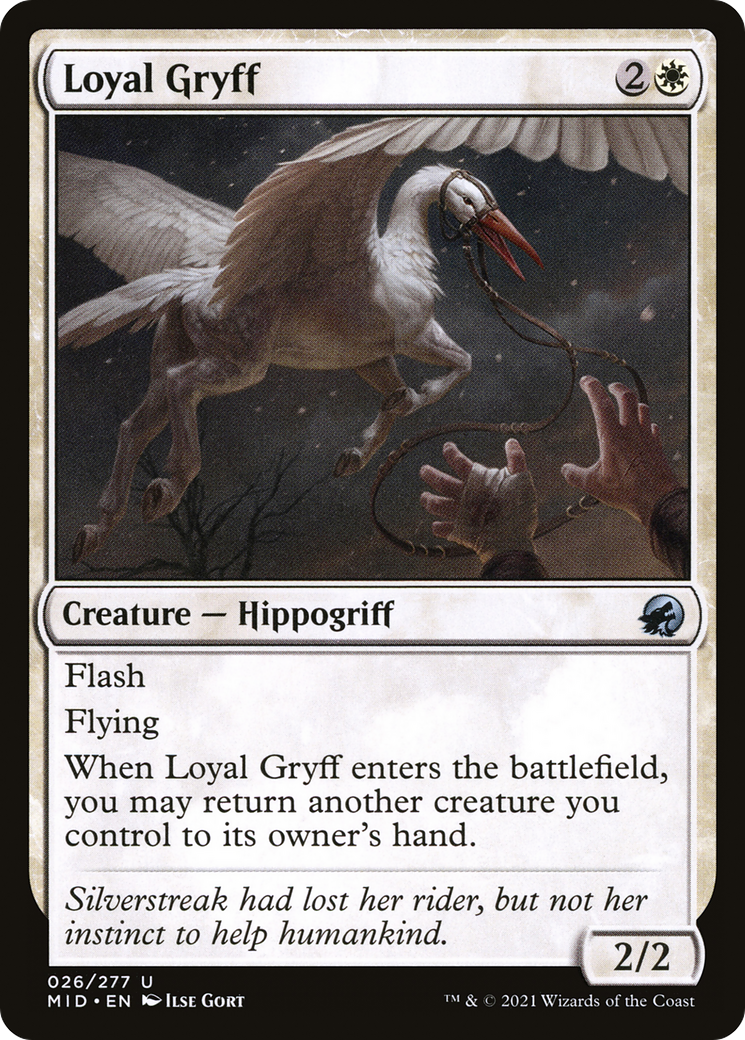 Loyal Gryff [Innistrad: Midnight Hunt]