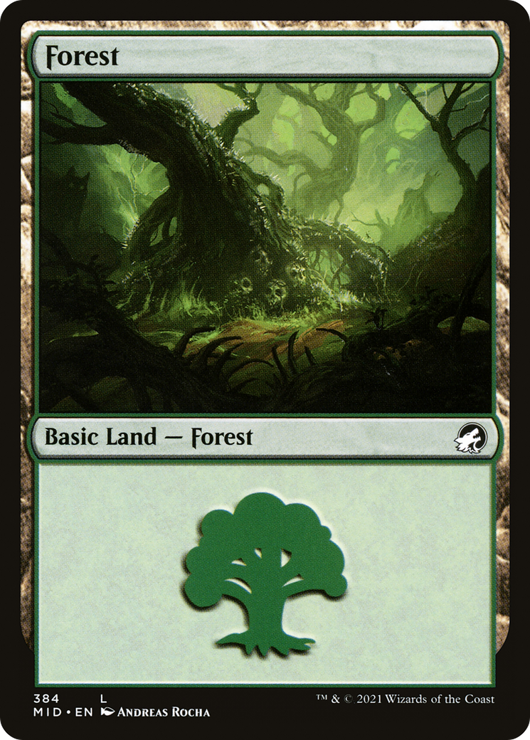 Forest (384) [Innistrad: Midnight Hunt]